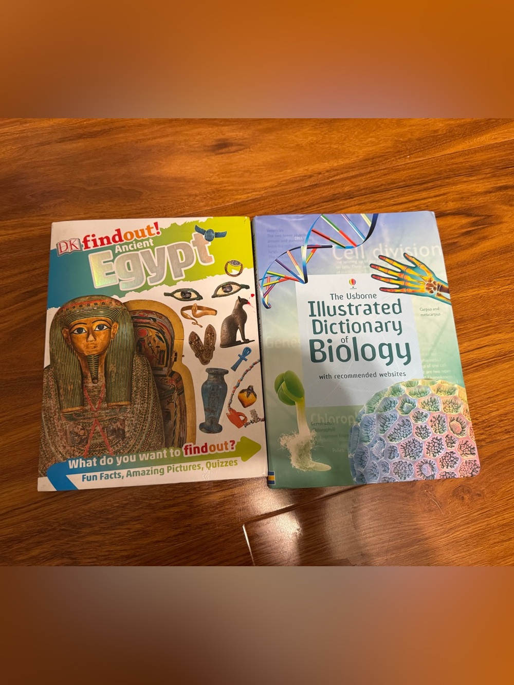 DK Find Out! Ancient Egypt & Usborne Illustrated Dictionary of Biology